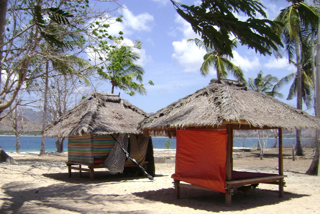 Foto articolo copertina